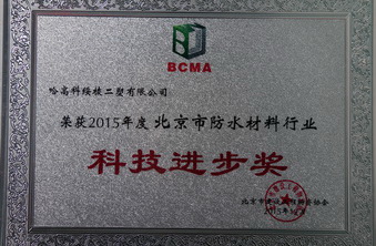 科技進(jìn)步獎(jiǎng)